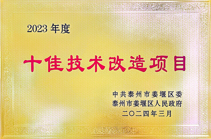 2023年度十佳技术改造项目