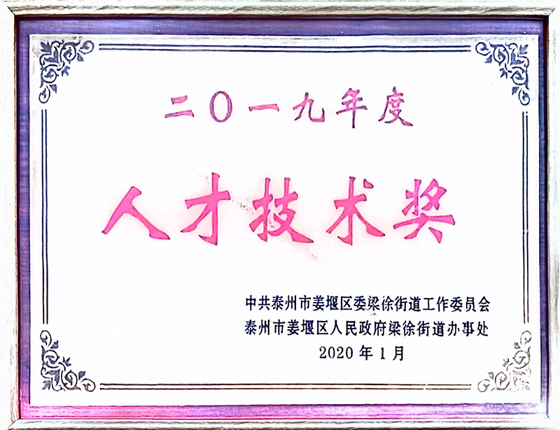 2019年度人才技术奖